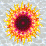 sunflower happiness